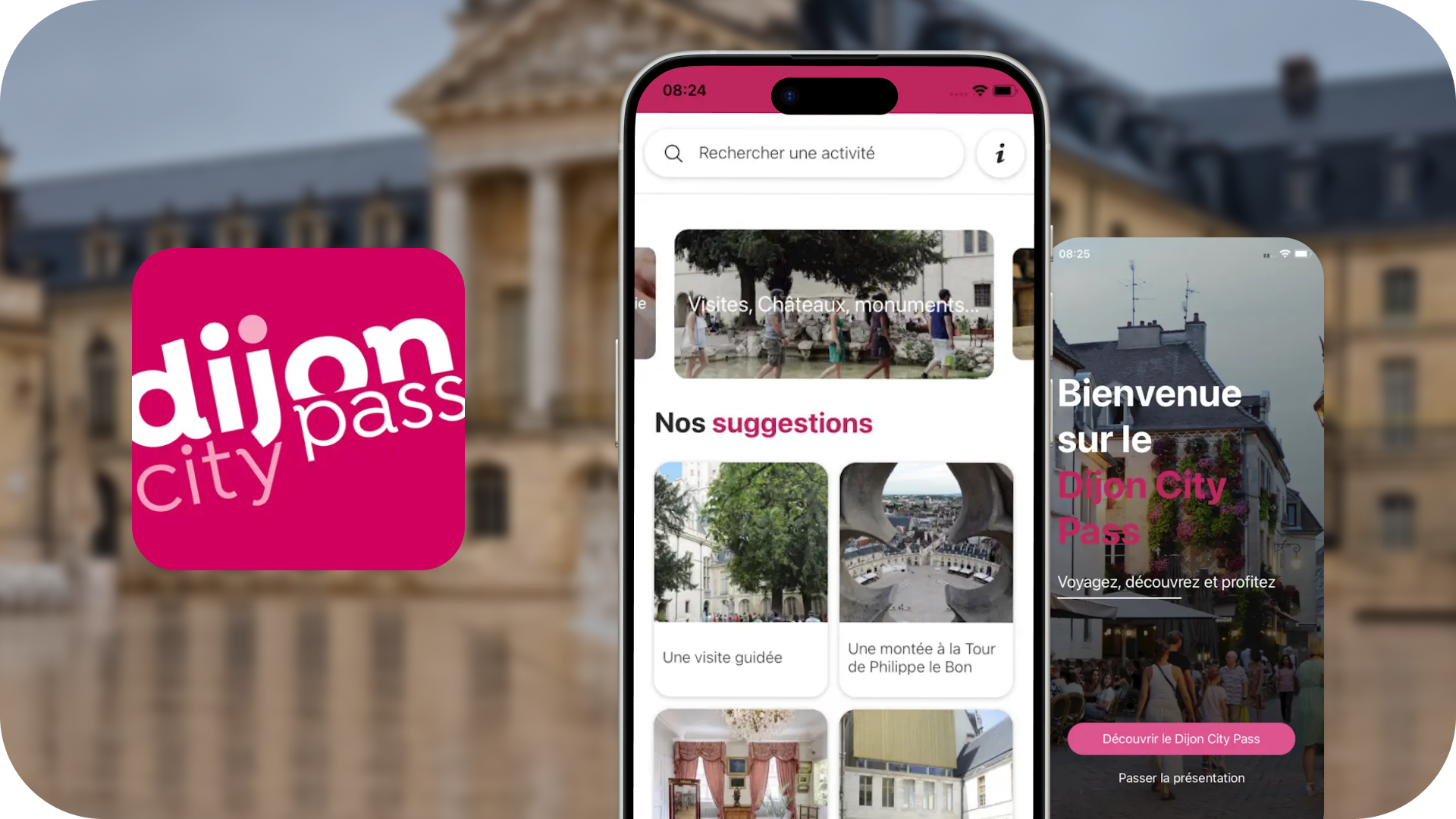 Dijon City Pass - Otipass by upcoop
